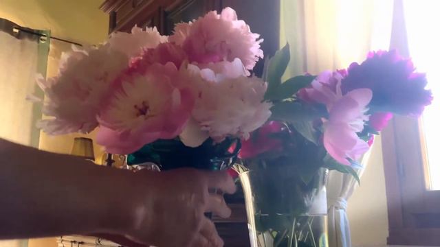 A Painting of Peony Flowers - Artist Caroline Zimmermann | Lahaina Galleries смотреть онлайн