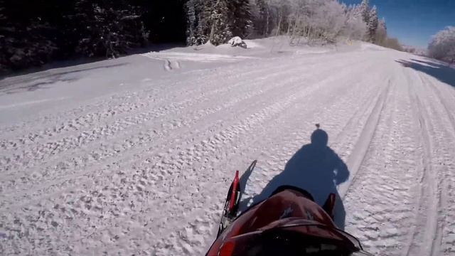 Monte Cristo In February