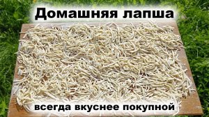 Домашняя лапша.Простой рецепт приготовления лапши в домашних условиях.