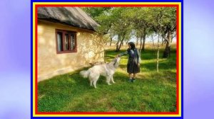 Румынская Народная Музыка - Ionela Prodan - Din bucata mea de paine