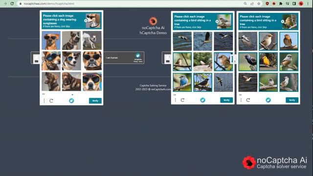 NoCaptchaAi : Fast And Free Captcha Solver Chrome Extension  2023 | FREE 6000 ? Credits Monthly