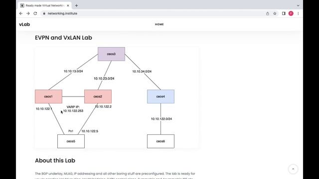 Arista VXLAN & MLAG vTEPs смотреть онлайн