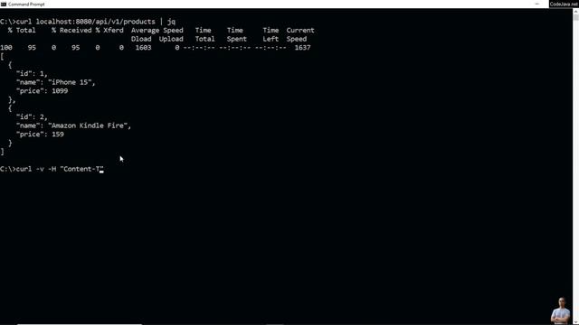 Testing REST APIs with curl - Test CRUD APIs смотреть онлайн