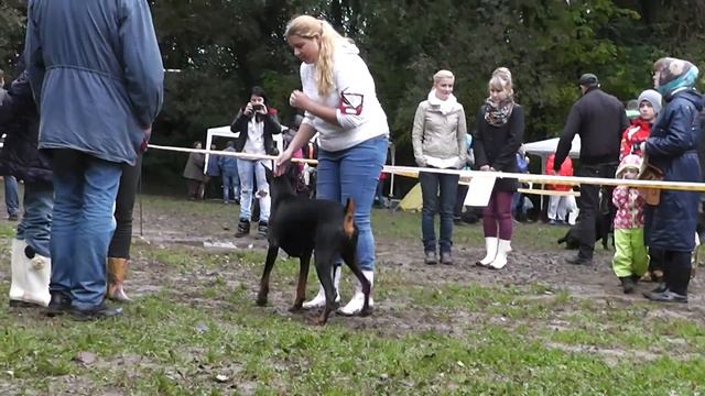 Кубок Белькандо смотреть онлайн