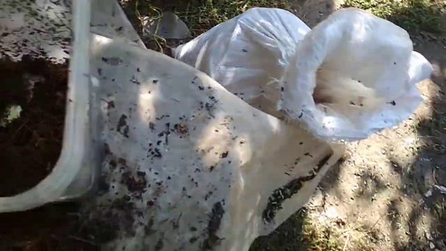 Черви любят.... продолжение. смотреть онлайн