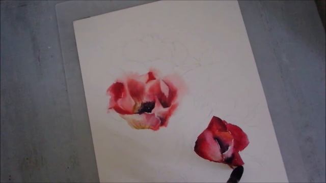 Почему я отказалась от кистей с французским креплением