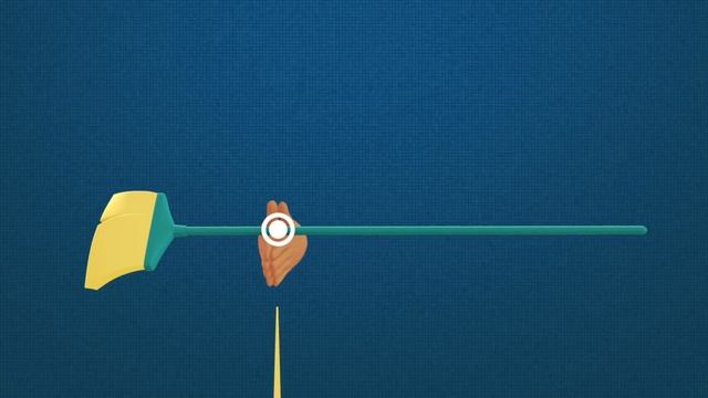 An Athlete Uses Physics To Shatter World Records - Asaf Bar-Yosef