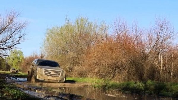 Cadillac Escalade - На Бездорожье.