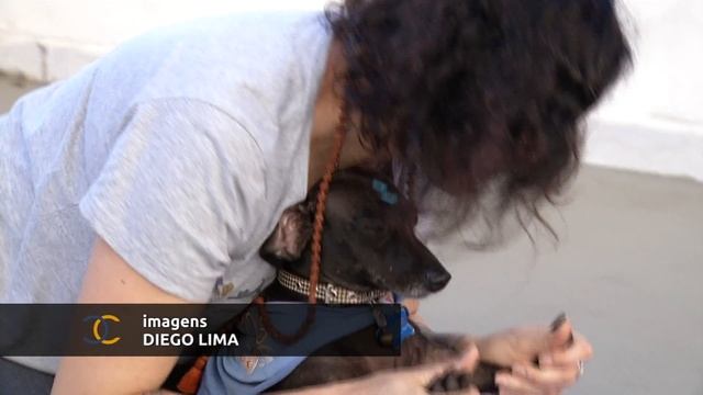 Conheça o Doga, a Yoga para cães смотреть онлайн