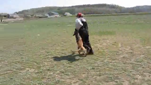 Bestiya iz Gratsiano. Protection. смотреть онлайн