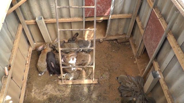 Без четверти год. смотреть онлайн