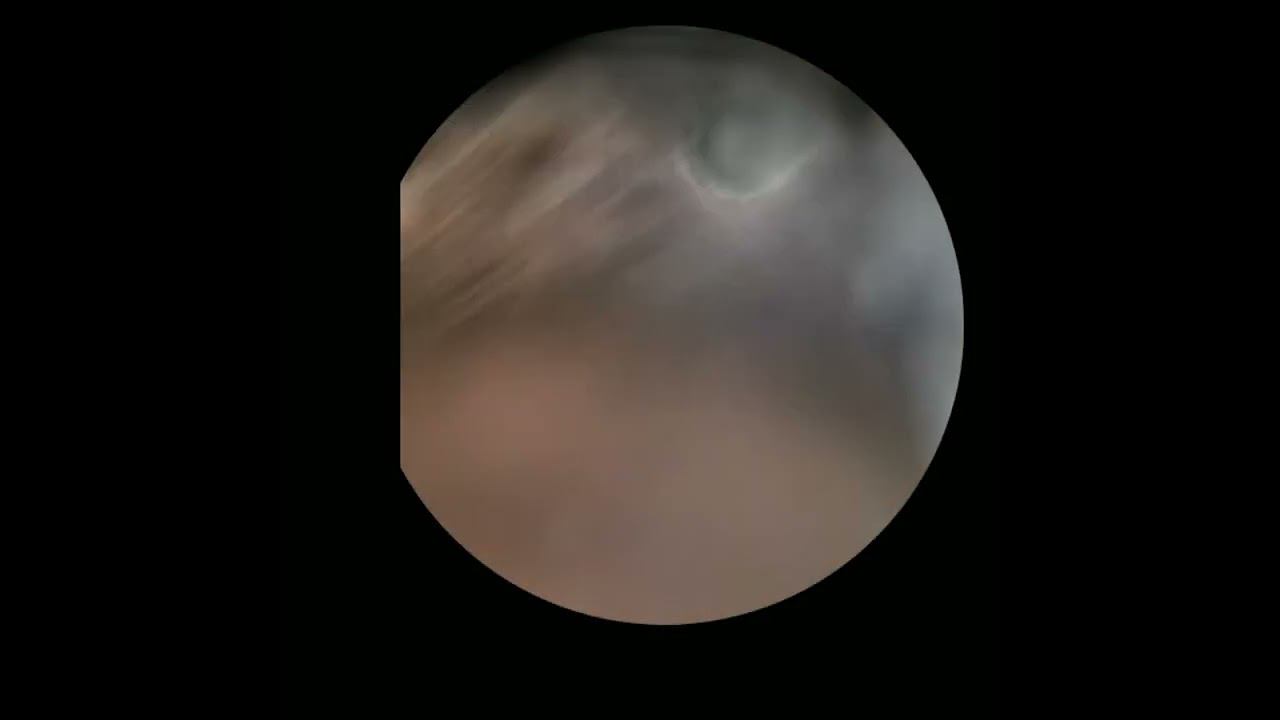 сделайте пожалуйста звук потише на этом видео! смотреть онлайн