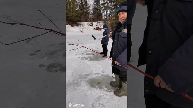 Рыбалка за огородом! Первый раз! С детьми! Хариус, елец! Приятные воспоминания весна 2020! смотреть онлайн
