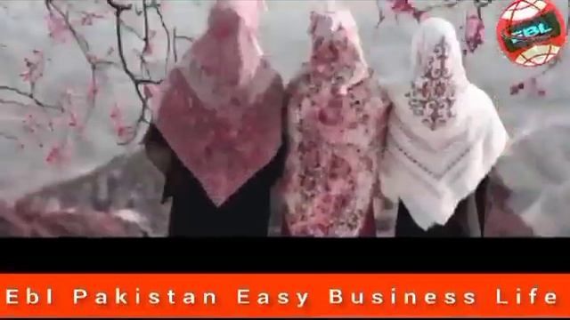 #onlineearning#eblpakistan #bestplatform #risktakers смотреть онлайн