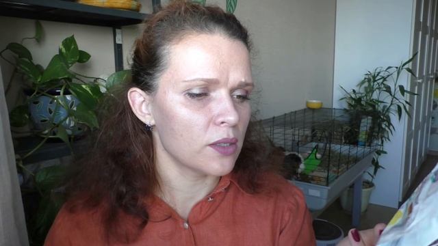 Пустые баночки в октябре и слова БЛАГОДАРНОСТИ! смотреть онлайн