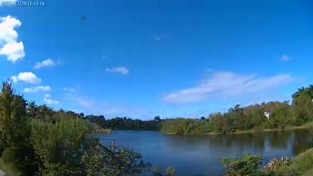 Cloud Camera 2019-12-20: Everglades Wetland Research Park смотреть онлайн