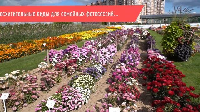 Фестиваль "Сады. Музыка. Цветы 2022" в "Русском Огороде" смотреть онлайн