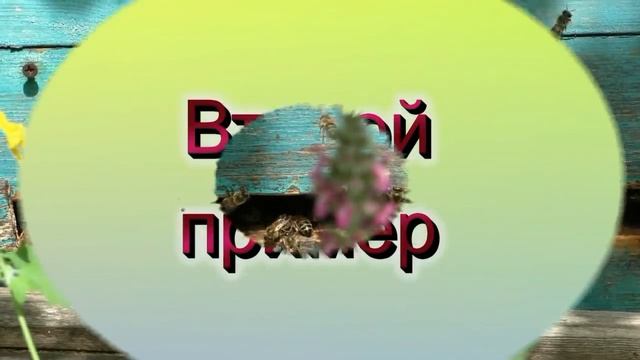 Когда и где должен находиться леток в улье. Пётр Евсеев. смотреть онлайн