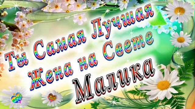 Ты Самая Лучшая Жена Малика смотреть онлайн