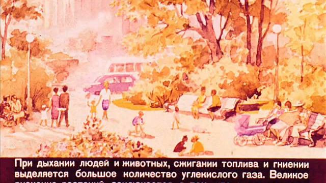 Значение растений в природе и жизни человек Диафильм по ботанике для 6 класса смотреть онлайн