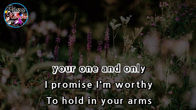 One And Only by Adele (Karaoke : Baritone Key) смотреть онлайн