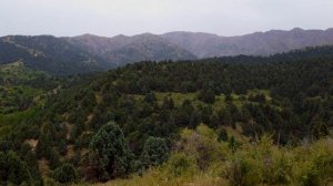 Синегорье (Кураминский Хребет) Узбекистан, Ташкентская область.