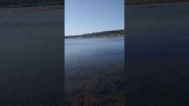 Кондиционер и Рыбалка смотреть онлайн