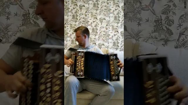 сармач смотреть онлайн