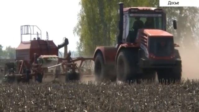 Первый в Сибири: Алтайский край лидирует по посевам зерновых культур смотреть онлайн