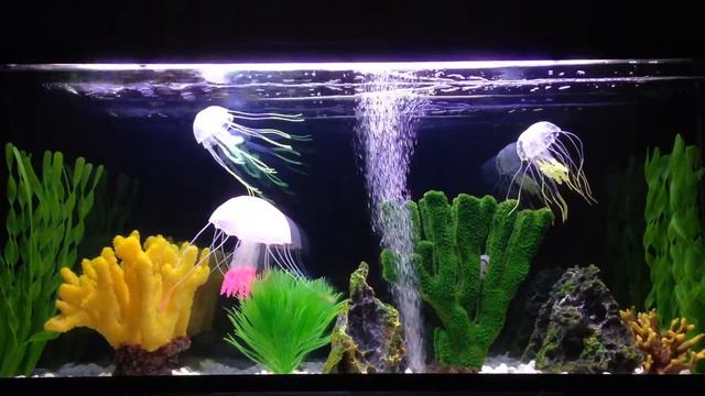 IMG 3363 смотреть онлайн