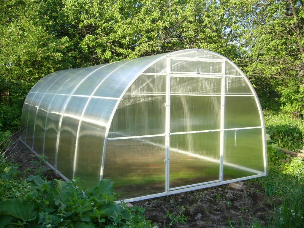 ЧЕМ И КАК ОБРАБОТАТЬ ТЕПЛИЦУ ВЕСНОЙ? МОЯ ОБРАБОТКА ТЕПЛИЦЫ ВНУТРИ ОТ БОЛЕЗНЕЙ И ВРЕДИТЕЛЕЙ.(2022г) смотреть онлайн