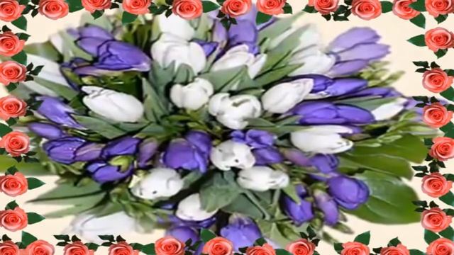 Светлана дорогая наша племянница С Днем Рождения тебя ! смотреть онлайн