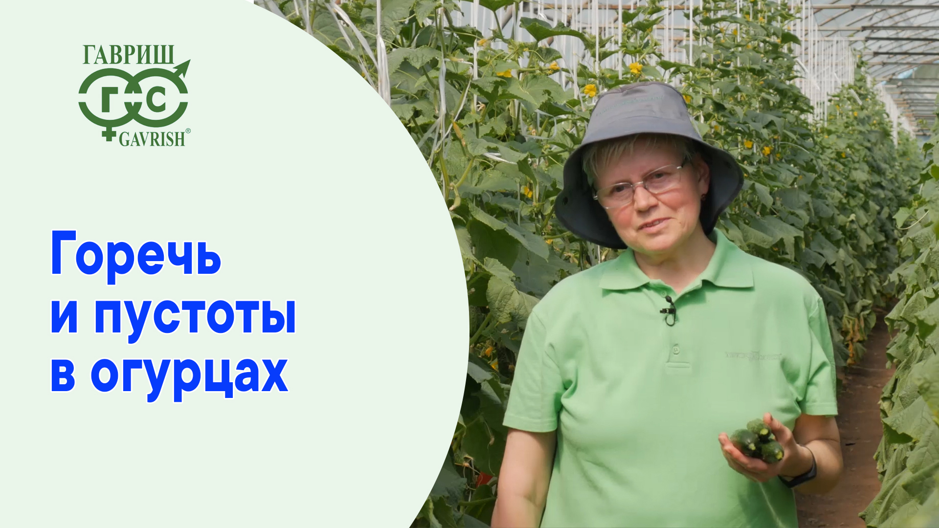 Горечь и пустоты в огурцах смотреть онлайн