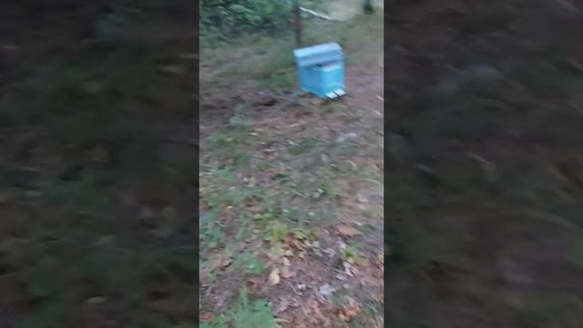 Пеноулик,реальный отзыв.