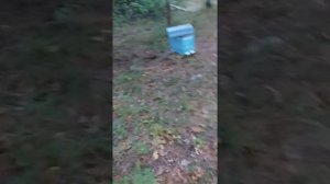 Пеноулик,реальный отзыв.