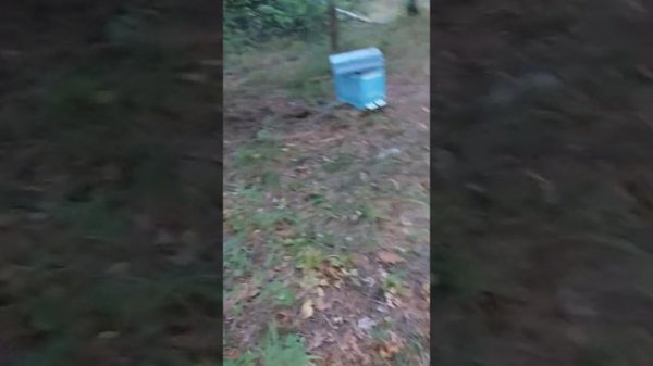 Пеноулик,реальный отзыв.