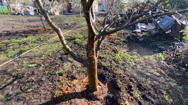 СтройИстории