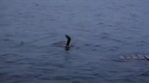 Александр Владыкин (Анаксагор) "ТАНГО НАДЕЖДЫ"