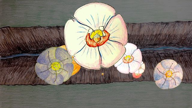 Vesica Creative - Peony Song Animation смотреть онлайн