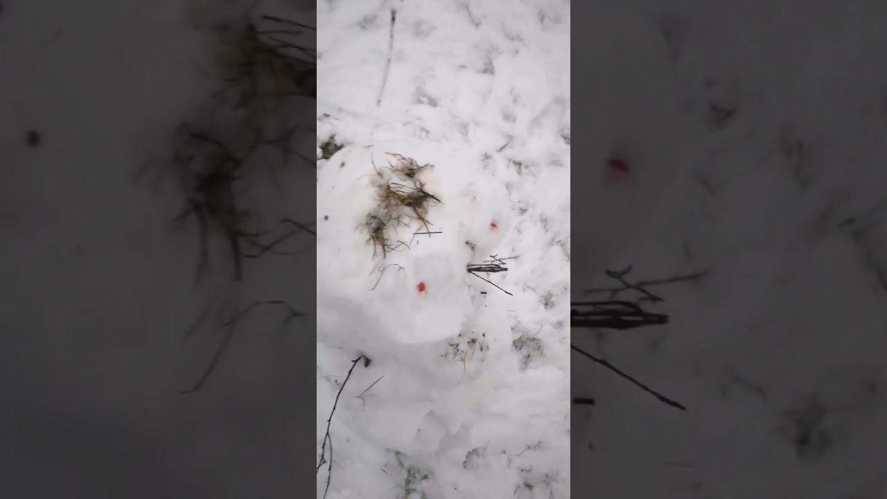 Раз уж слеплен снеговик = значит наступила #ПолноценнаяЗима ❄️☃️❄️ Niletto #СноваХолодает смотреть онлайн