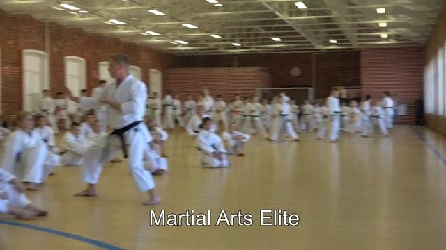 Каратэ Сетокан JKS. Медведев Андрей. Семинар (2017)