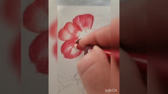 ШИПОВНИК, ботаническая живопись#4 смотреть онлайн