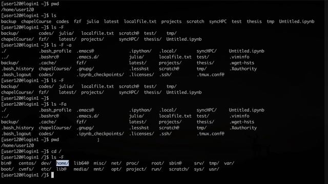 Navigating directories in bash смотреть онлайн