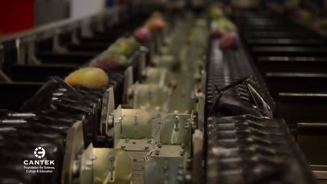 STORAGE IS THE KEY - MANGO