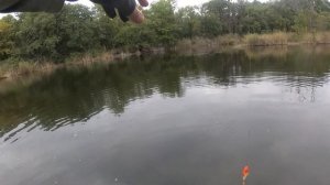 Ловля щуки на Salmo Slider в сентябре
