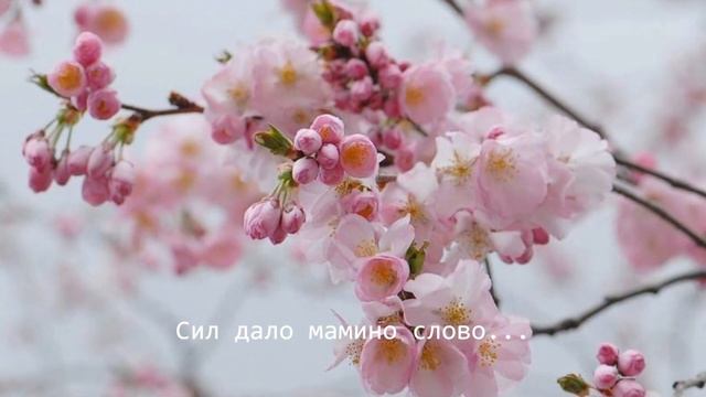 Молитва. смотреть онлайн