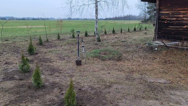 Хутор на Опушке. Озеленяем территорию. Нашёл Рога!!! часть 37 смотреть онлайн