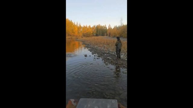 Рыбалка на горной речке с сыновьями. Ловля отличных ленков. смотреть онлайн
