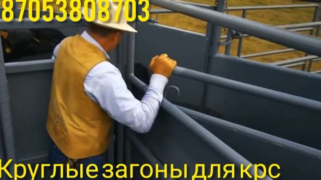 Раскол крс. Загоны для крс смотреть онлайн