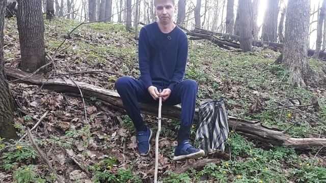 Новые правила сбора грибов и ягод 2021 смотреть онлайн